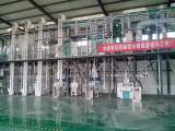 Automatic 100 TPD maize flour production plant line in China
